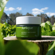 Load image into Gallery viewer, Herbal Recovery Cream