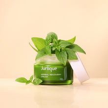 Load image into Gallery viewer, Herbal Recovery Cream