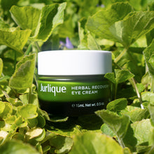 Load image into Gallery viewer, Herbal Recovery Eye Cream