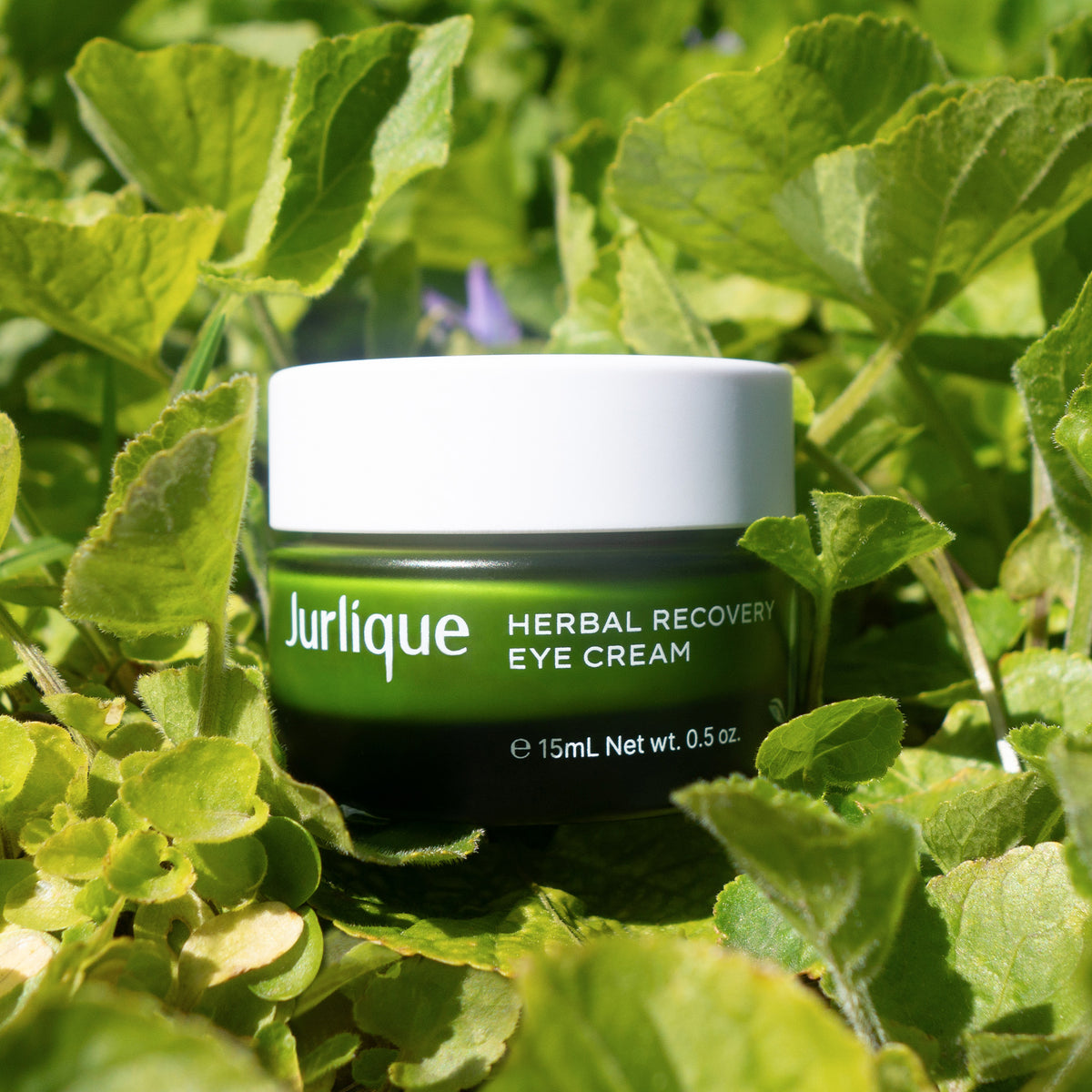 Herbal Recovery Eye Cream Jurlique Malaysia