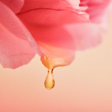 Load image into Gallery viewer, Rare Rose Face Oil 50ml