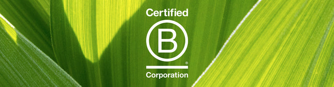 OUR JOURNEY TO B CORP CERTIFICATION