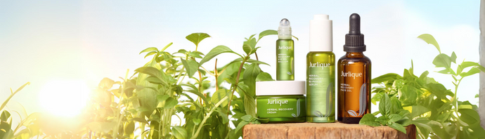 Reveal resilient skin with the Herbal Recovery range